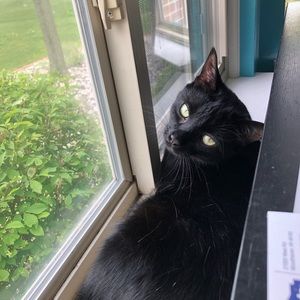 Meet your Posher, Ava